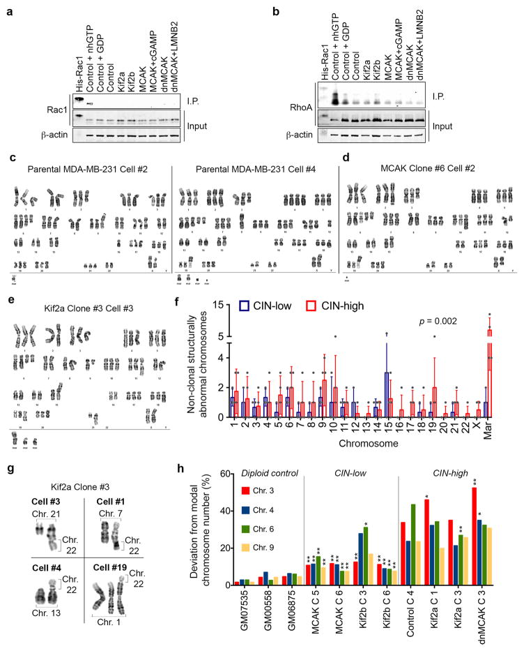 Extended Data Figure 2