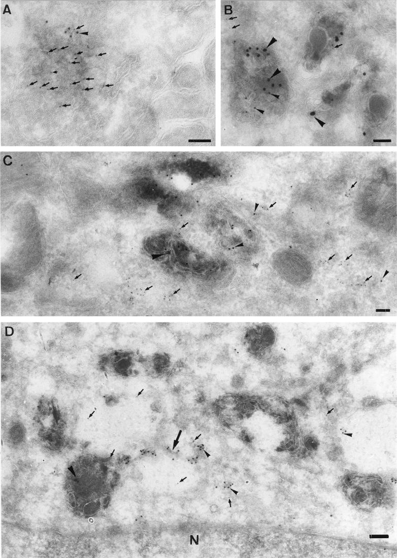 FIG. 11