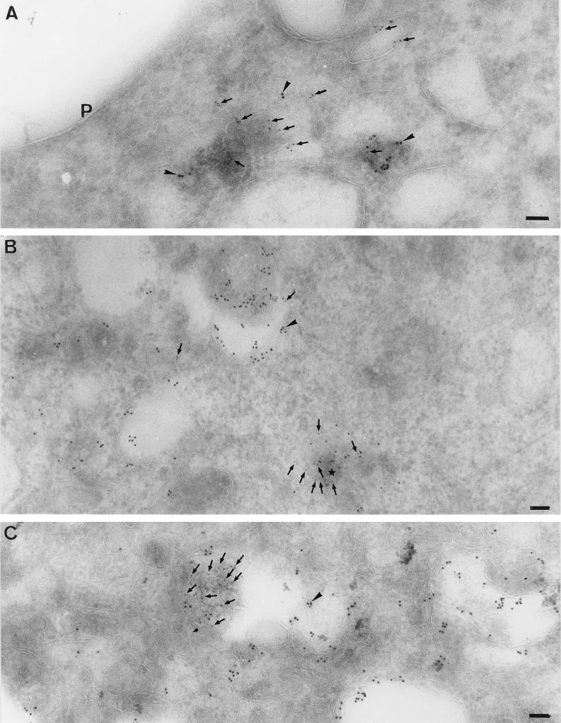 FIG. 9