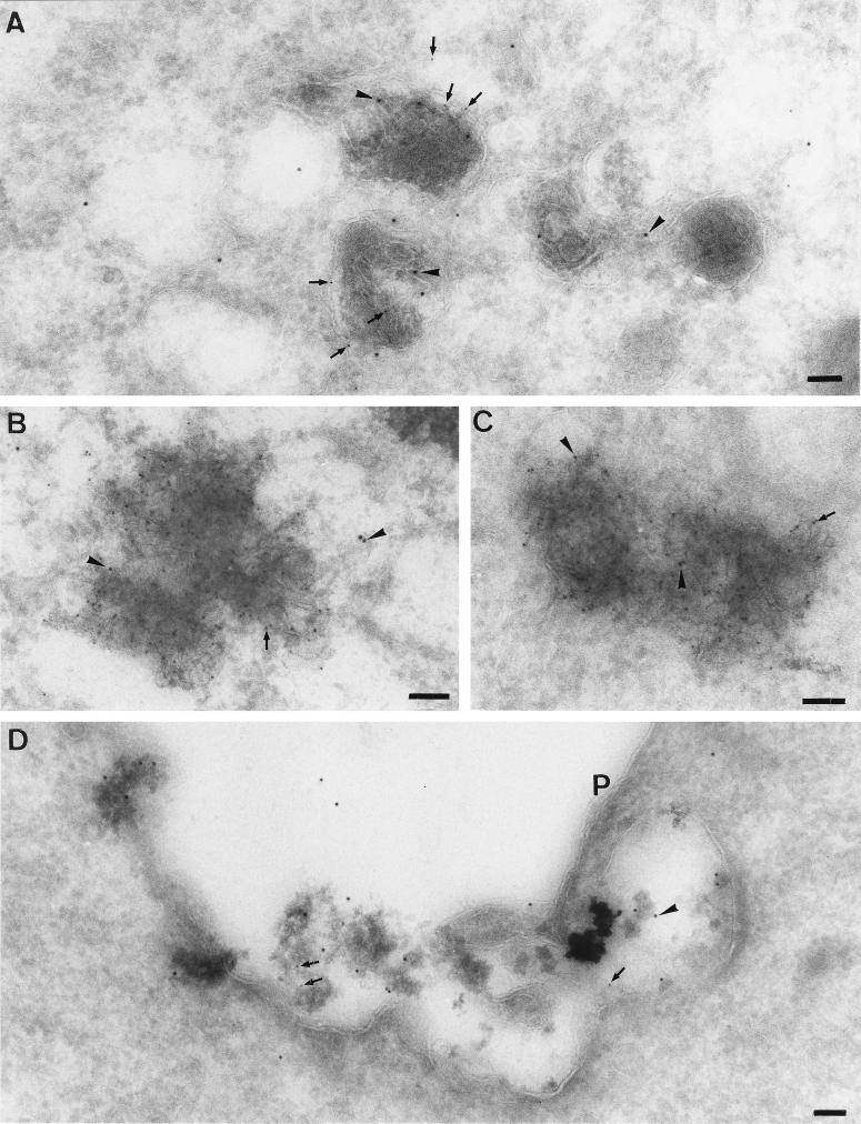 FIG. 8