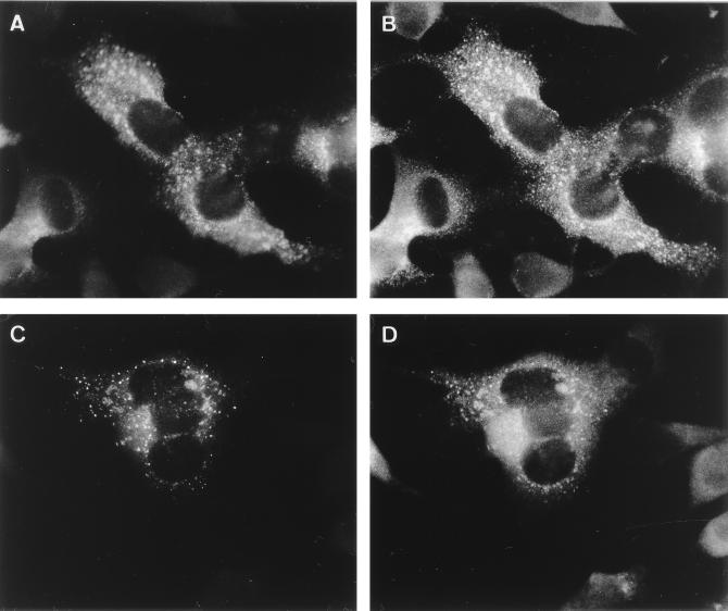 FIG. 10