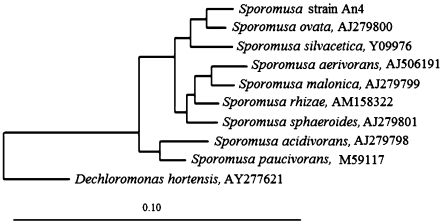 Fig. 2