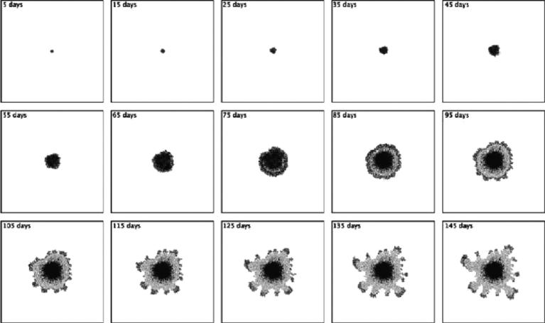 Figure 23