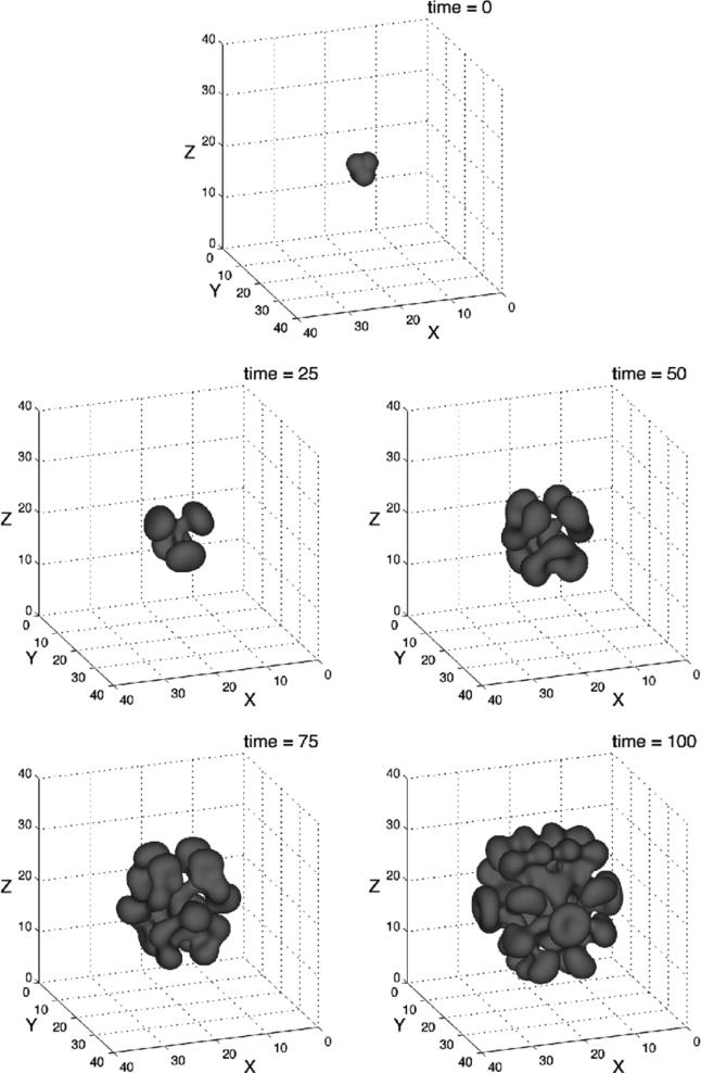 Figure 13