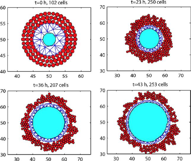 Figure 24