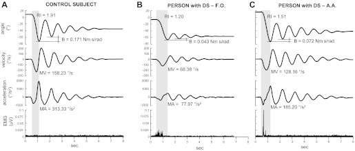 Fig. 2.