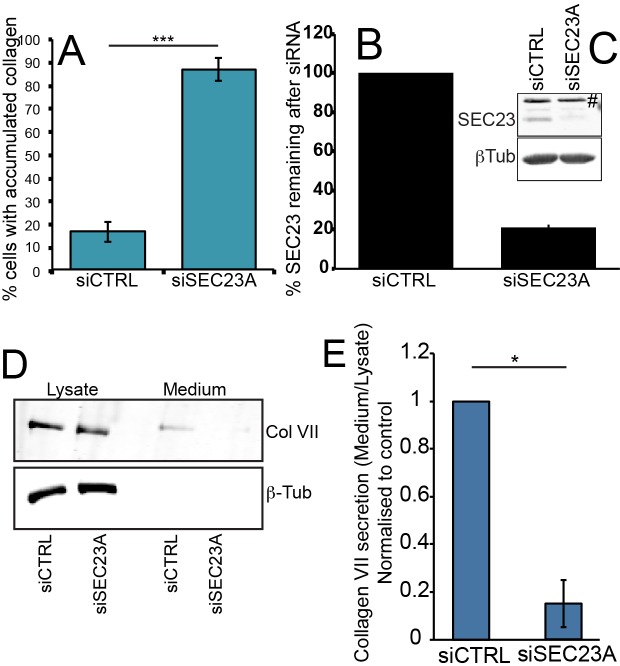 Figure 2—figure supplement 3.