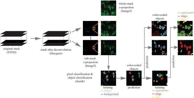 Figure 2—figure supplement 2.