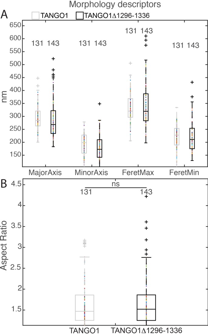 Figure 4—figure supplement 1.