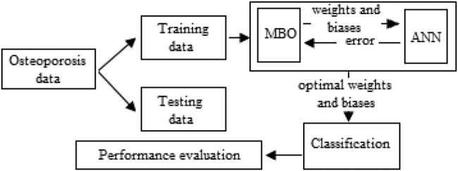 Fig. 1