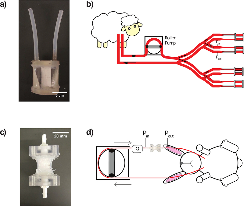 Figure 2: