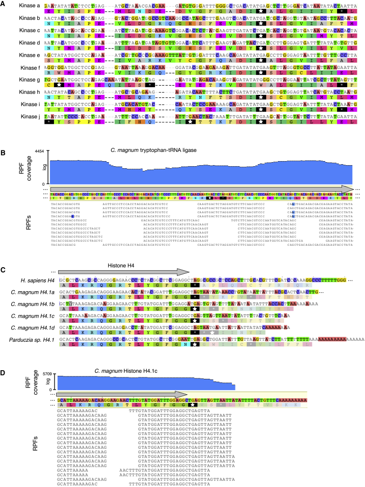 Figure 2