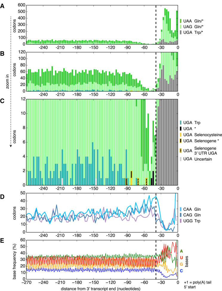 Figure 6