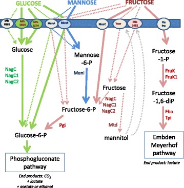 Fig. 2