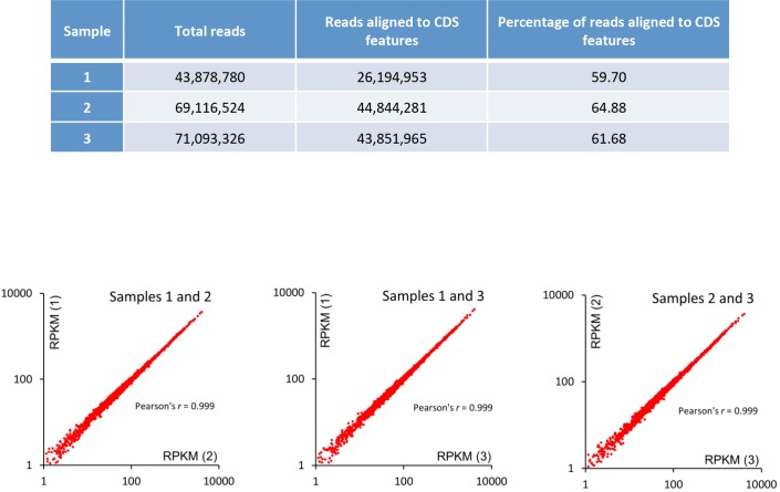 Figure 5—figure supplement 1.