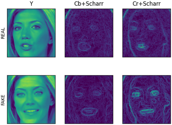 Fig 2