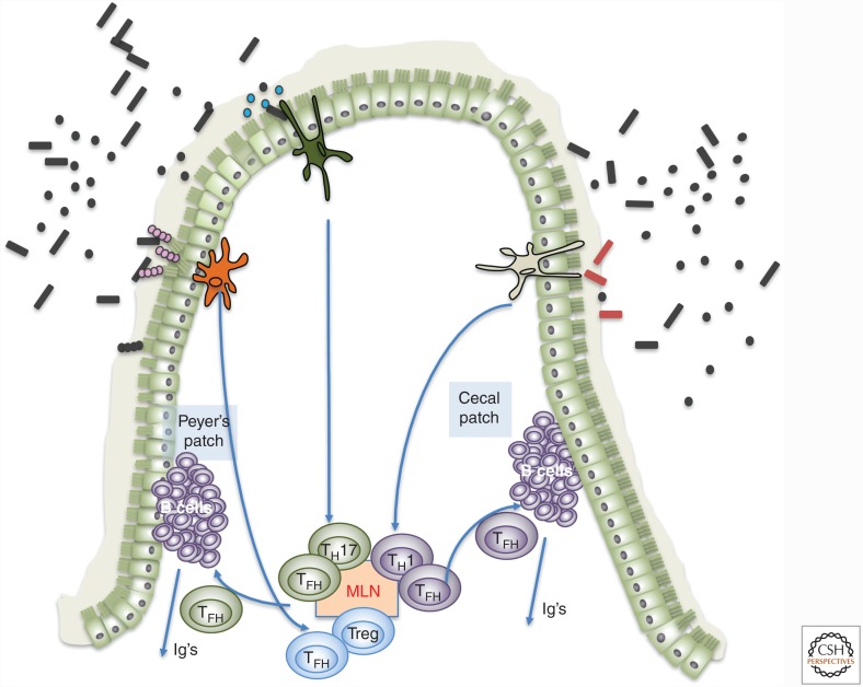 Figure 2.