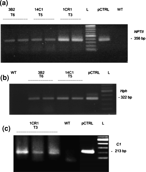 Fig. 6