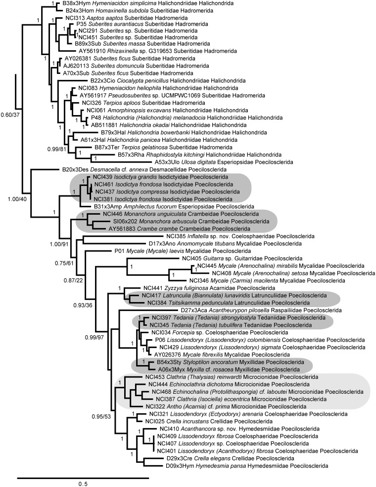 Fig. 7