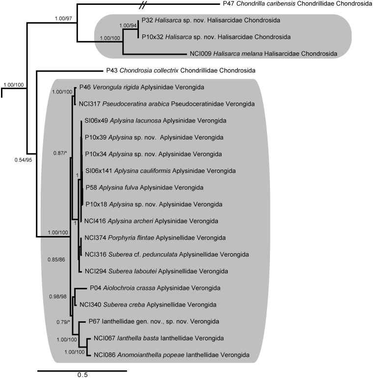 Fig. 3