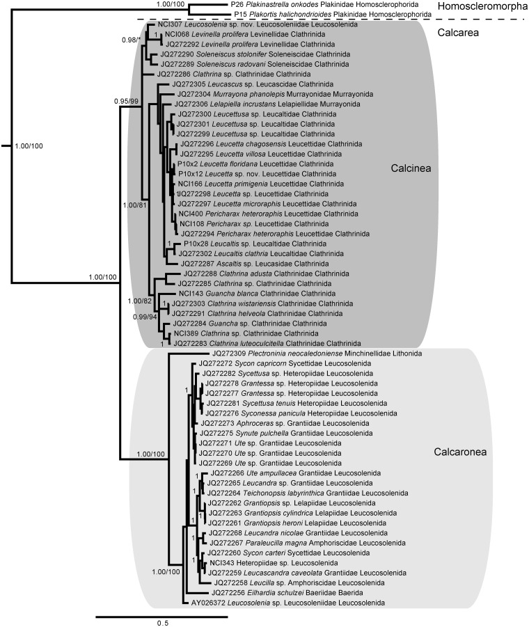 Fig. 8