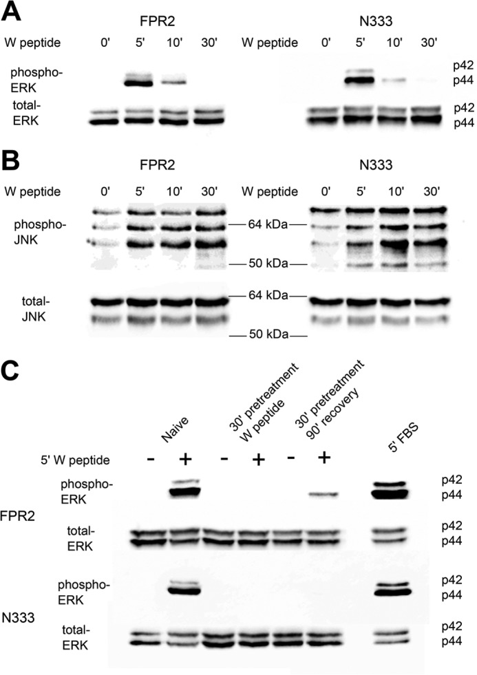 FIGURE 10.