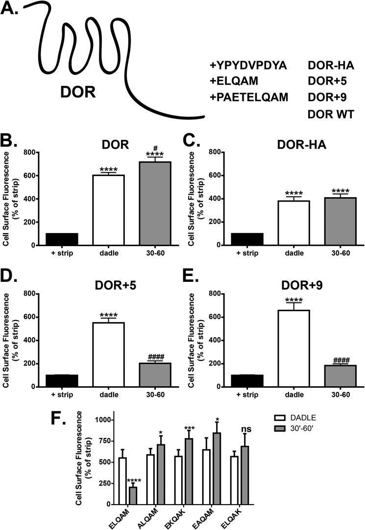 FIGURE 11.