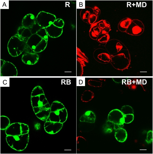 Figure 3.