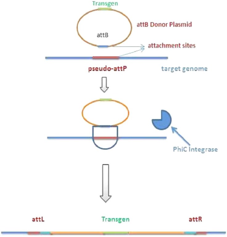 Fig. 3