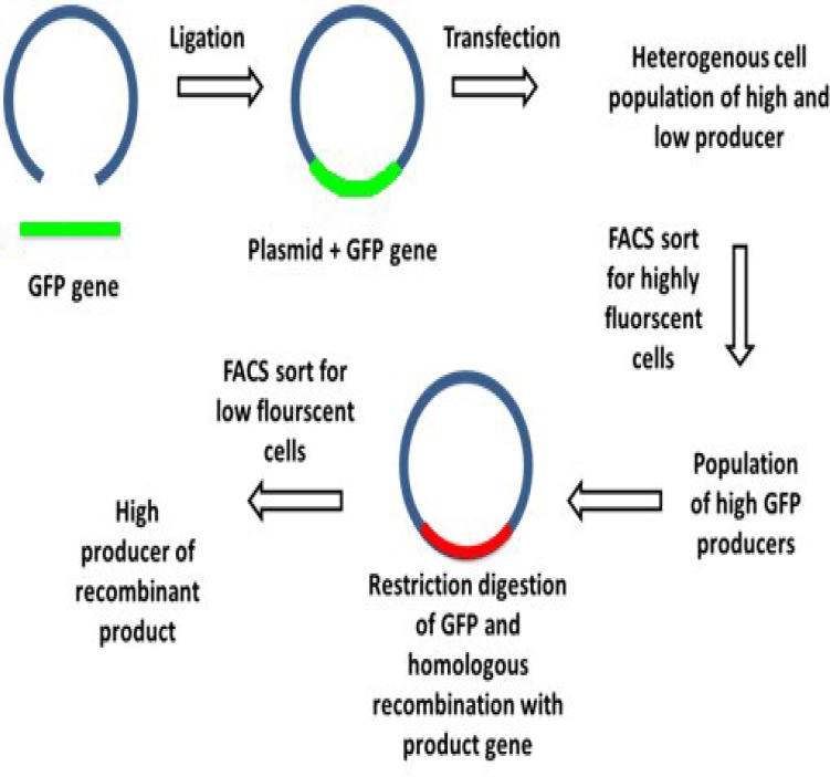 Fig. 2