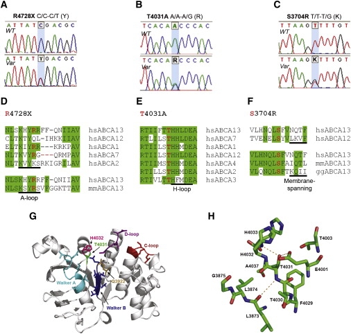 Figure 3