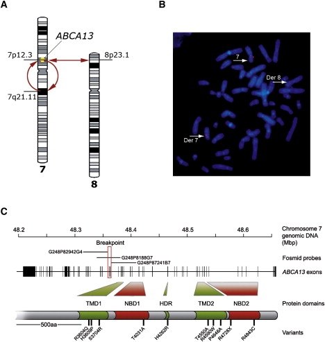 Figure 1