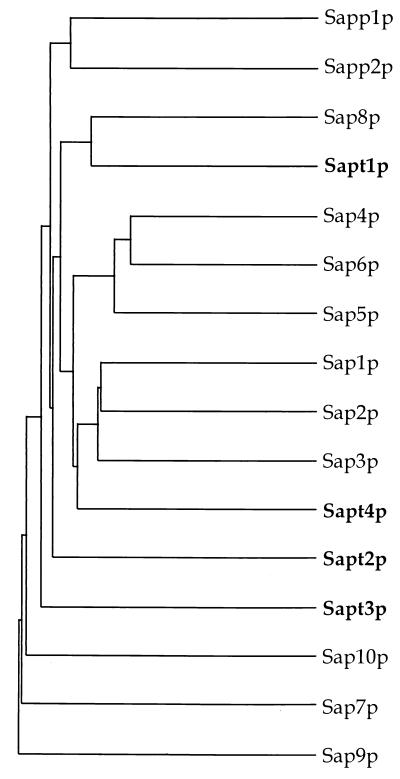 FIG. 6