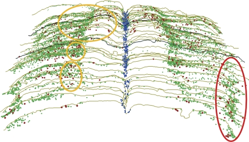 Fig. 6.