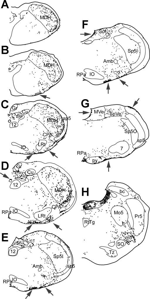 Fig. 4.