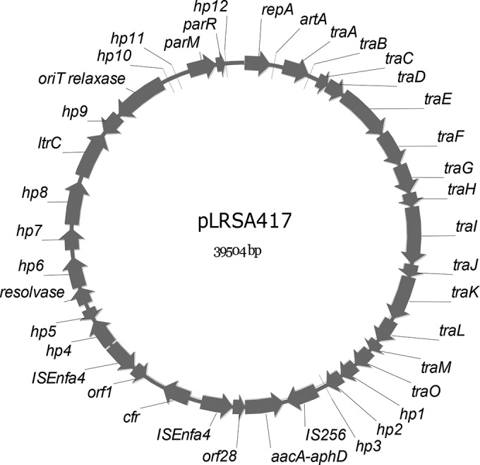 FIG 1