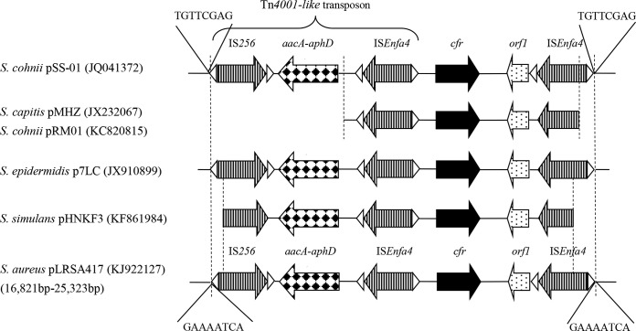 FIG 2