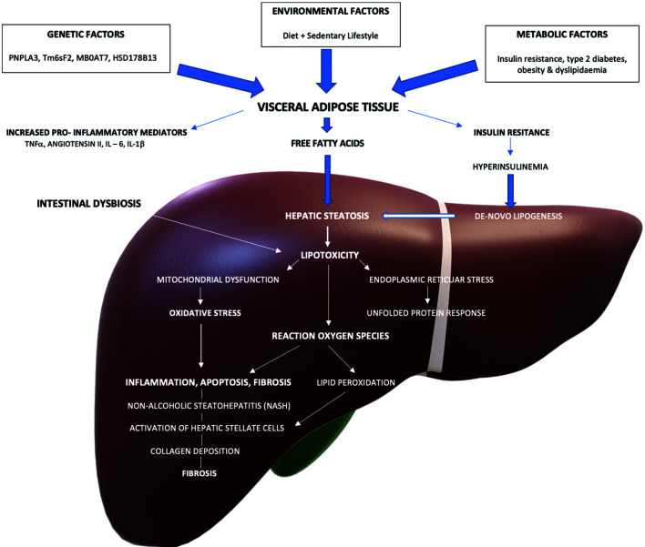 Fig. 1