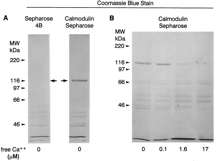 Fig. 9.