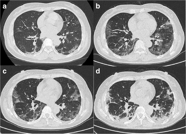 Fig. 5