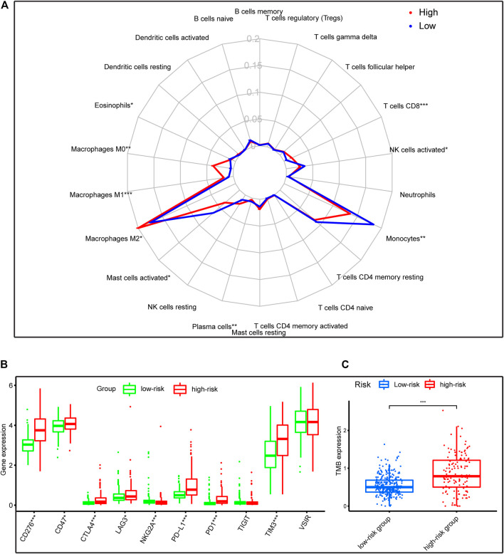 FIGURE 9