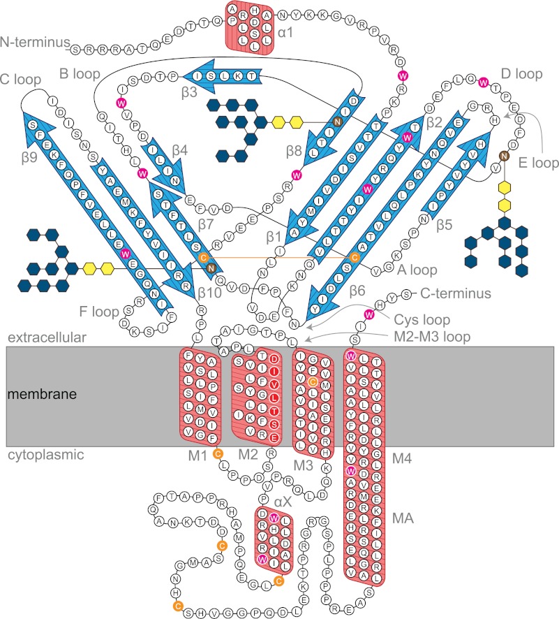 FIGURE 10.