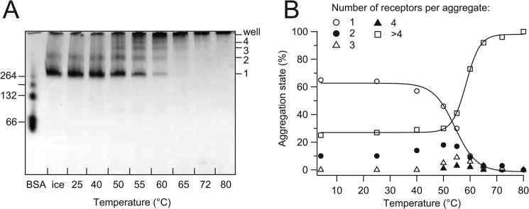 FIGURE 9.