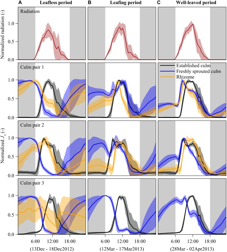 FIGURE 2