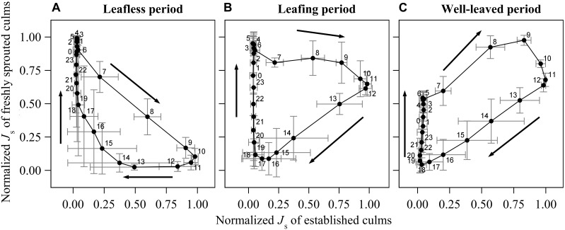 FIGURE 3