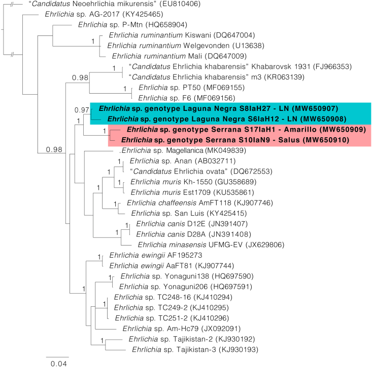 Fig. 2