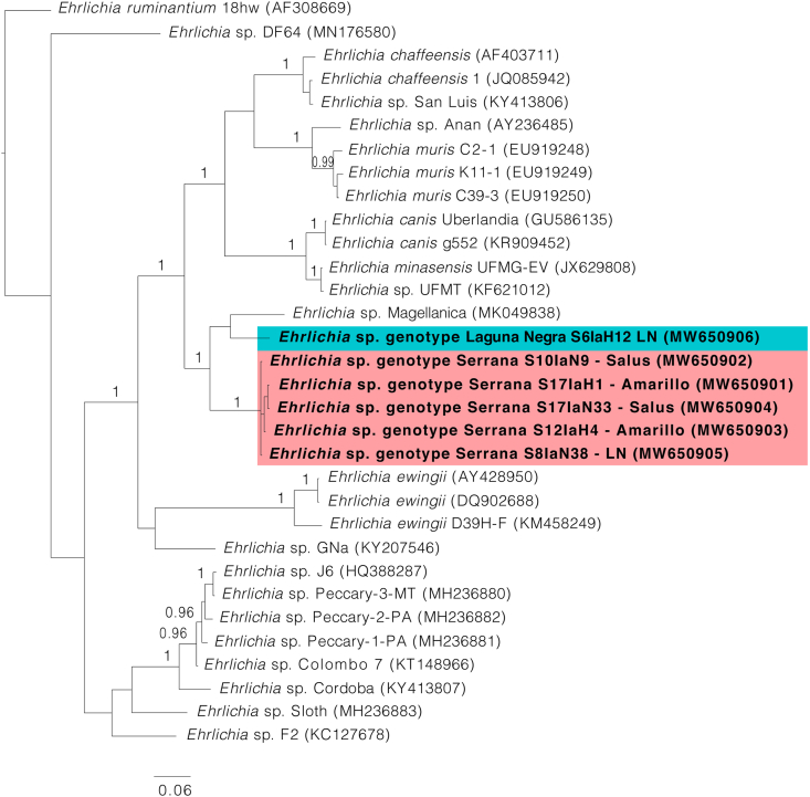 Fig. 3