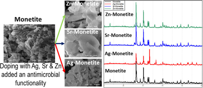 graphic file with name mt2c00047_0009.jpg