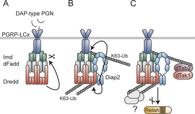 Fig. 3