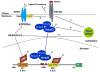 Fig. 10